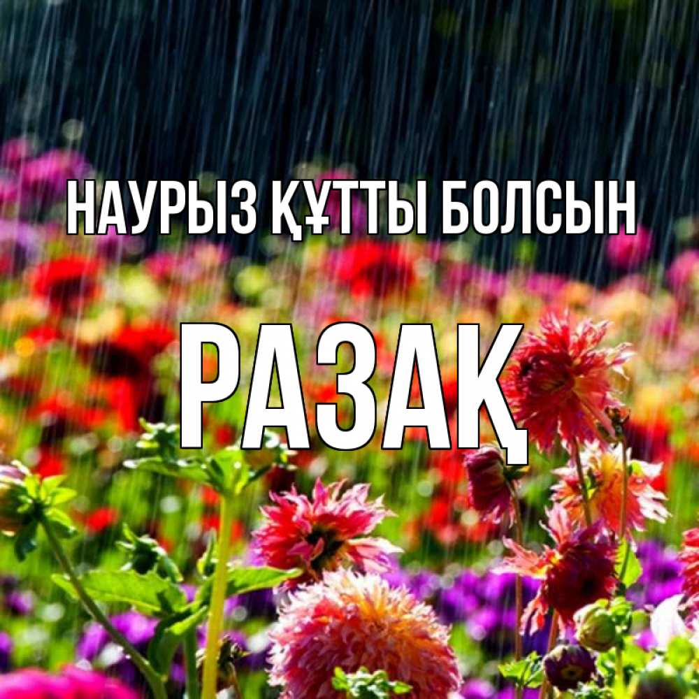Күн сайын ашық хат с именем, РАЗАҚ Наурыз құтты болсын цветы под дождиком к наурызу Онлайн тегін жүктеп алу тілектері бар керемет карта 