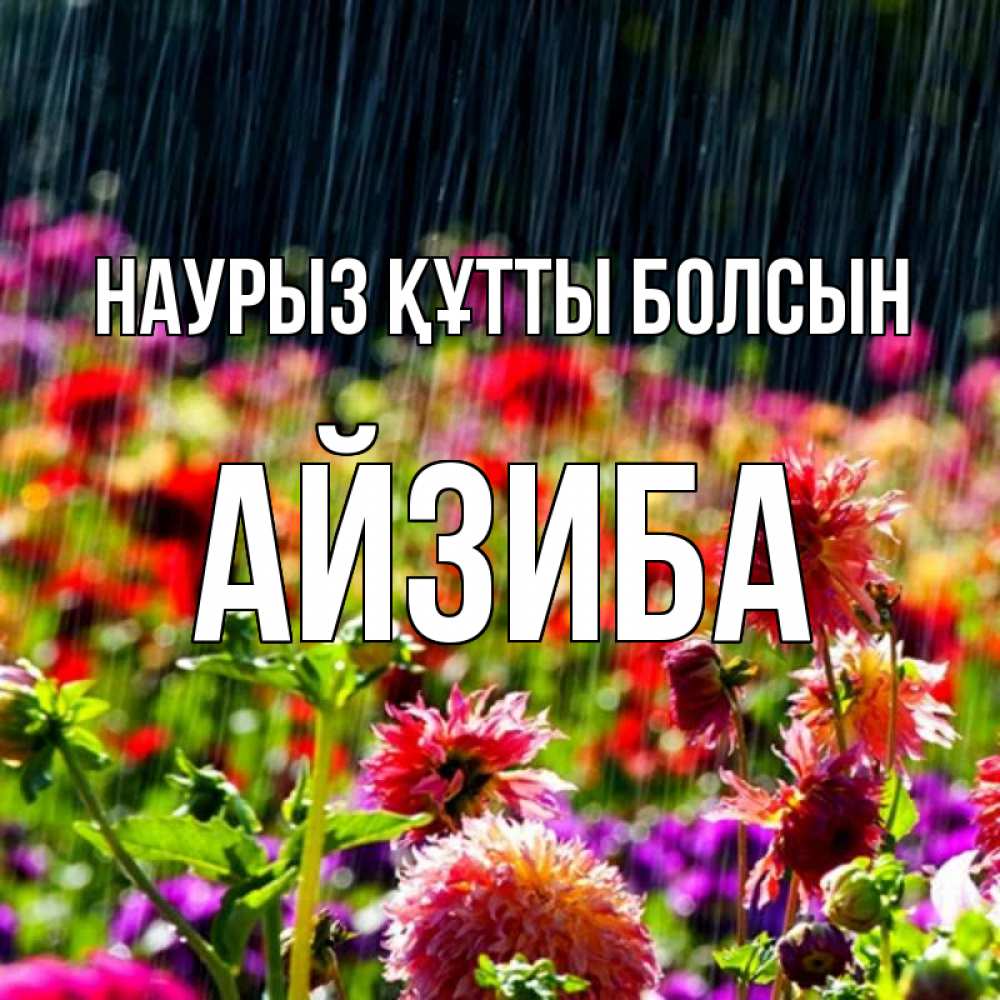 Күн сайын ашық хат с именем, АЙЗИБА Наурыз құтты болсын цветы под дождиком к наурызу Онлайн тегін жүктеп алу тілектері бар керемет карта 