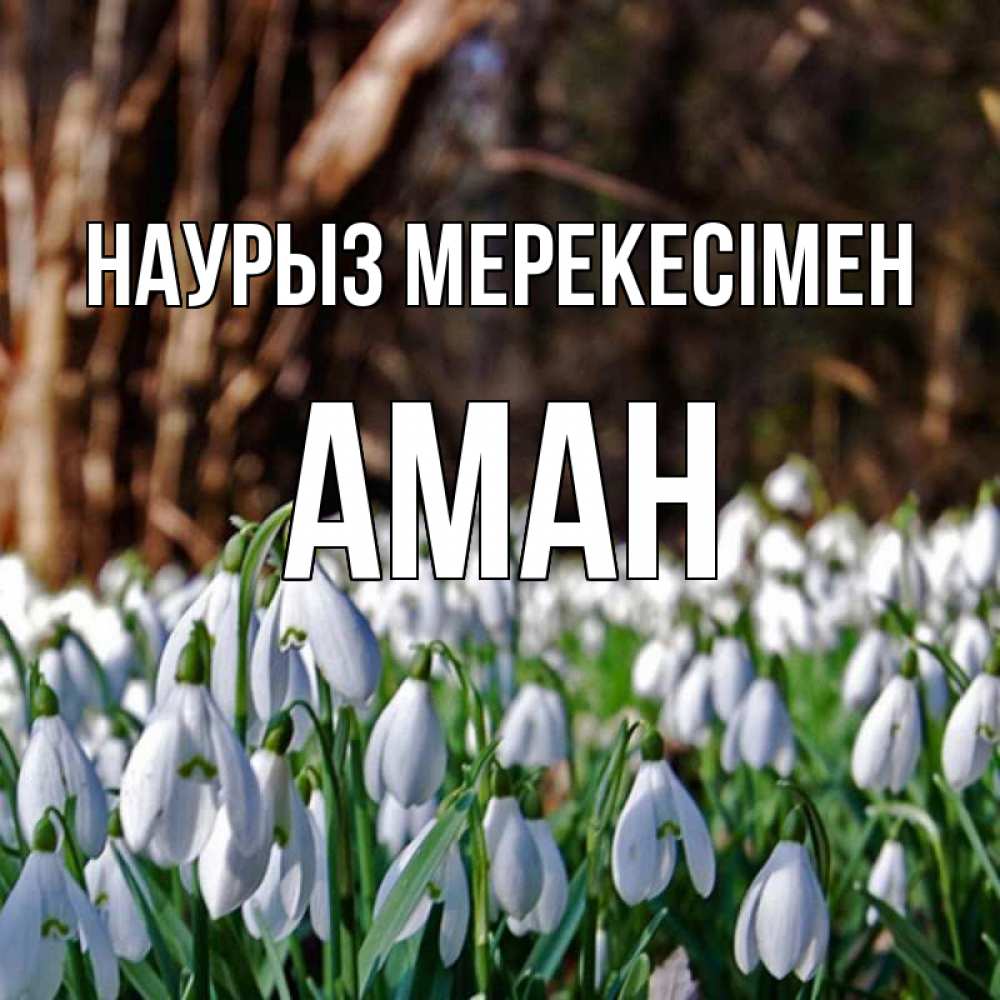 Күн сайын ашық хат с именем, Аман Наурыз мерекесімен с подснежниками 1 Онлайн тегін жүктеп алу тілектері бар керемет карта 