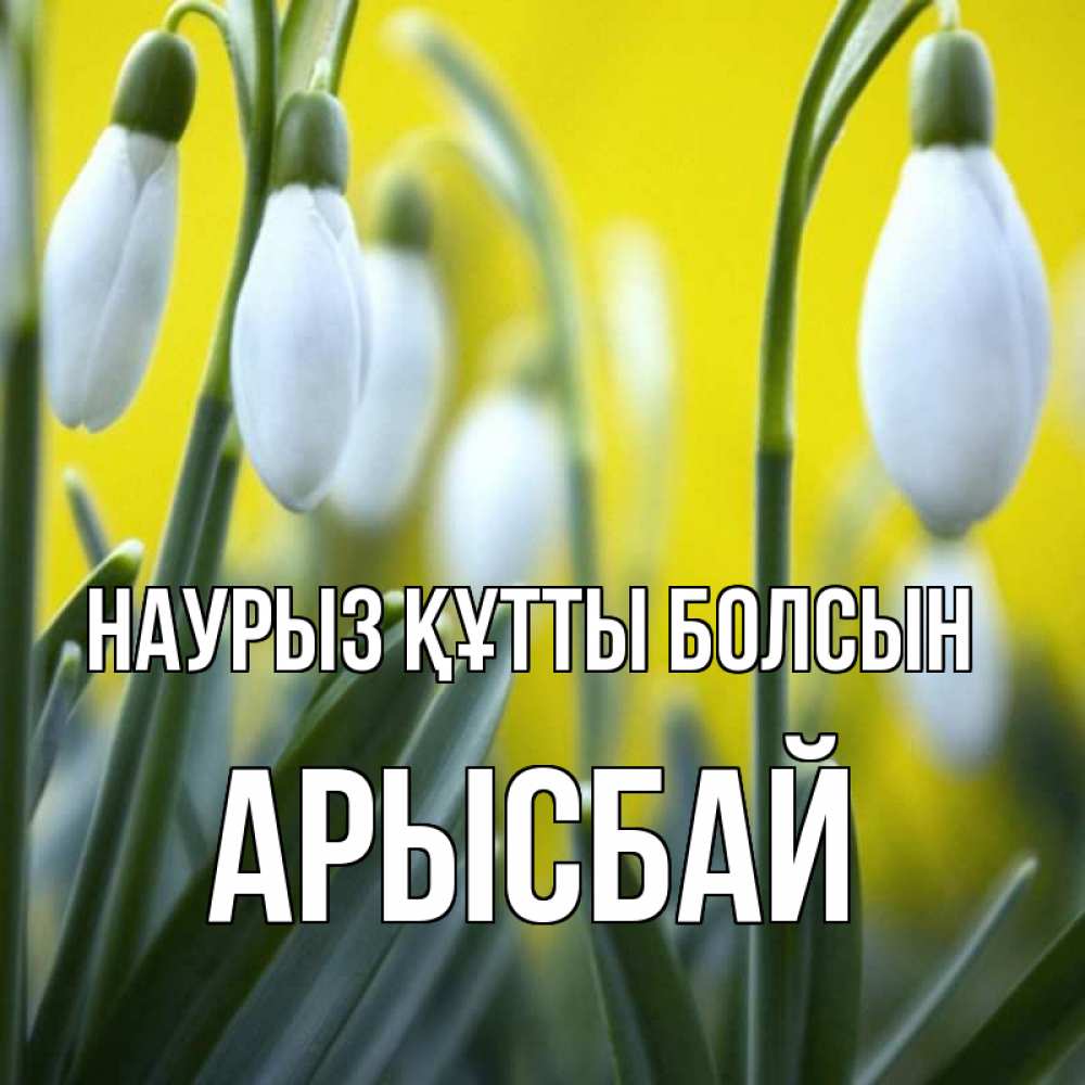 Күн сайын ашық хат с именем, Арысбай Наурыз құтты болсын весенние цветы Онлайн тегін жүктеп алу тілектері бар керемет карта 