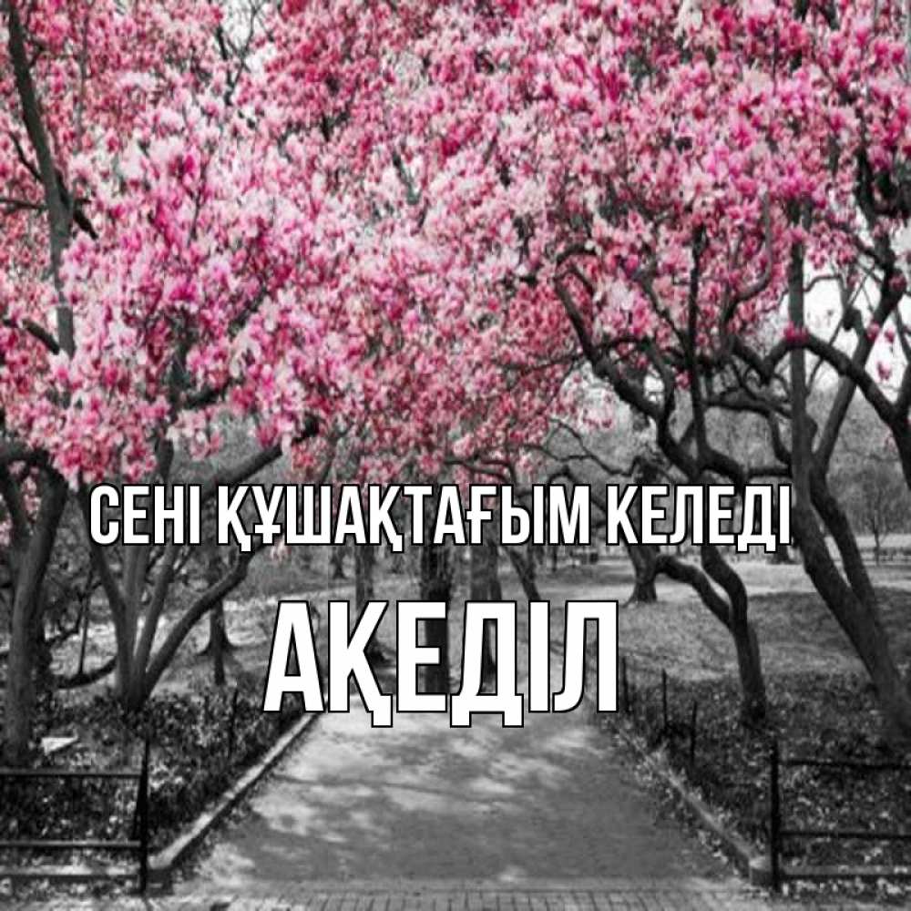 Күн сайын ашық хат с именем, Ақеділ сені құшақтағым келеді обработанное фото Онлайн тегін жүктеп алу тілектері бар керемет карта 
