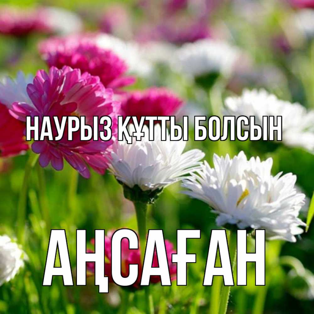 Күн сайын ашық хат с именем, Аңсаған Наурыз құтты болсын наурыз Онлайн тегін жүктеп алу тілектері бар керемет карта 