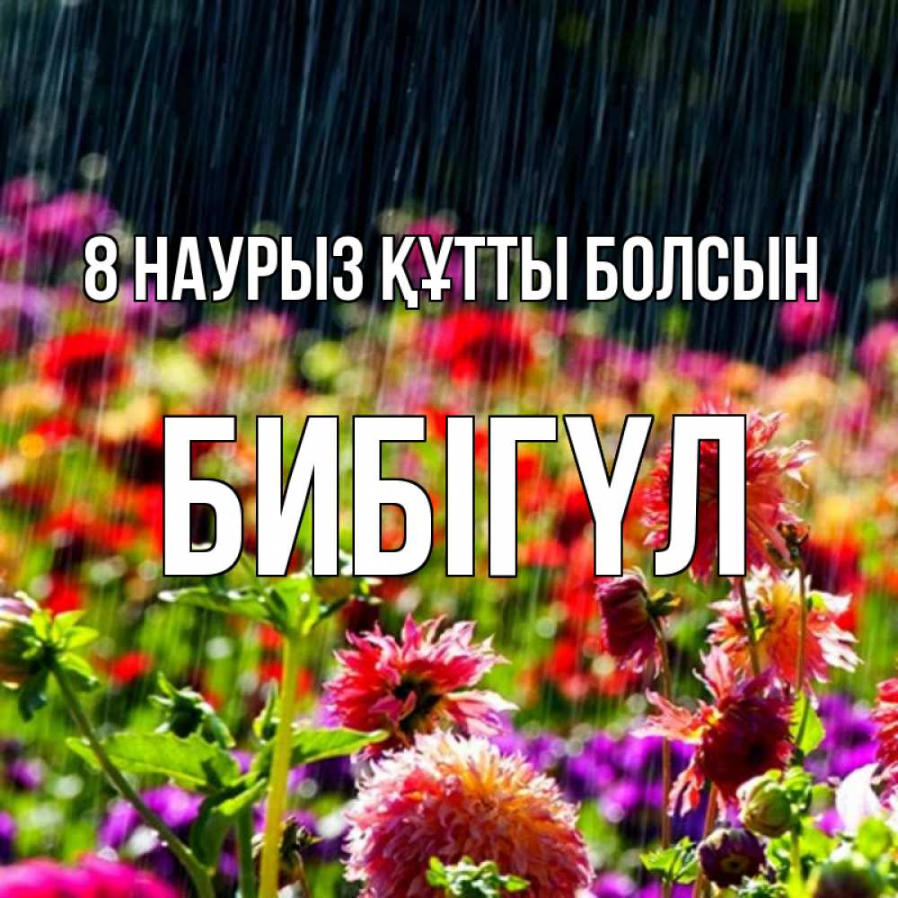 Күн сайын ашық хат с именем, БИБІГҮЛ 8 наурыз құтты болсын цветы под дождиком к международному женскому дню Онлайн тегін жүктеп алу тілектері бар керемет карта 