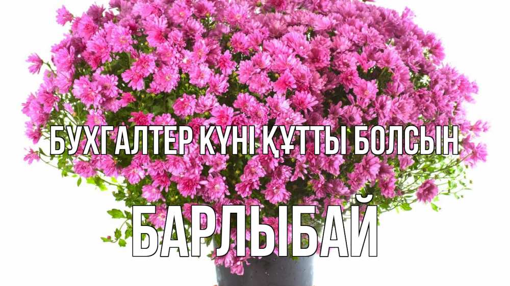 Күн сайын ашық хат с именем, Барлыбай бухгалтер күні құтты болсын с днем бухгалтера Онлайн тегін жүктеп алу тілектері бар керемет карта 