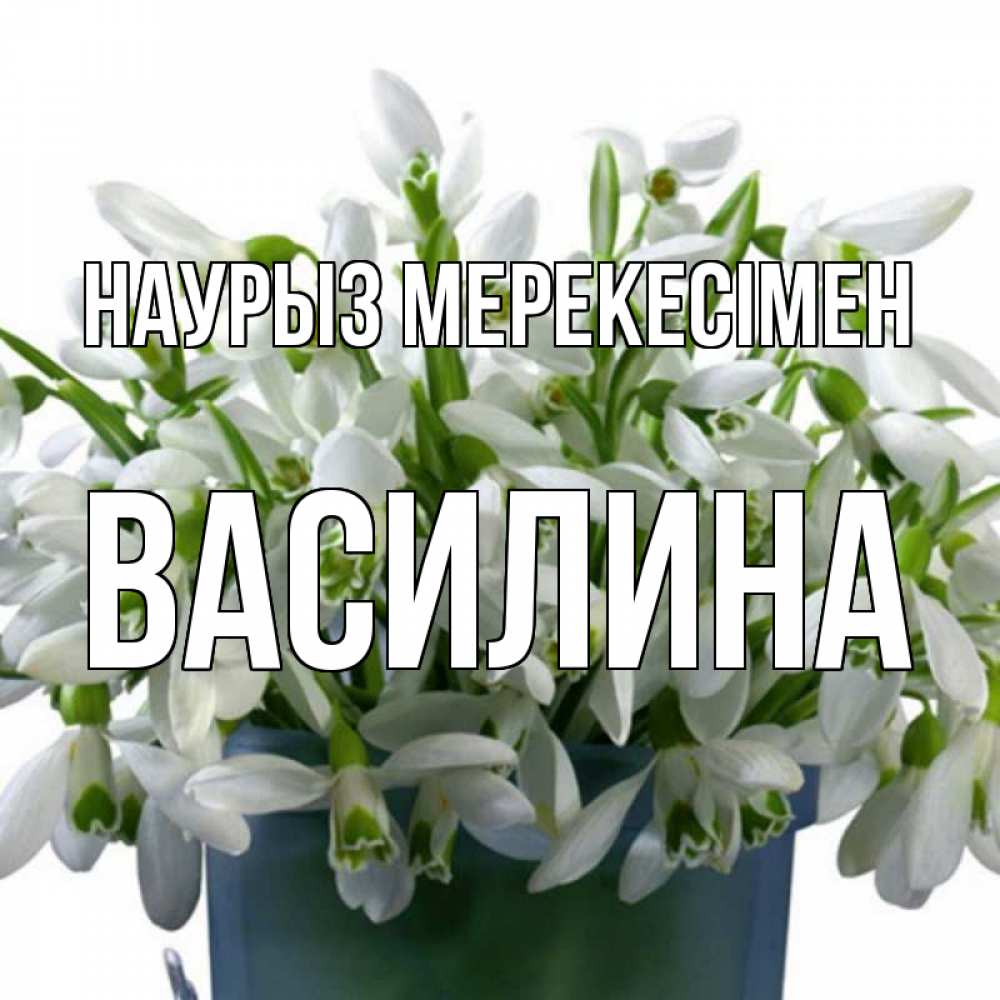 Күн сайын ашық хат с именем, Василина Наурыз мерекесімен цветы к наурызу новый год в Казахстане Онлайн тегін жүктеп алу тілектері бар керемет карта 