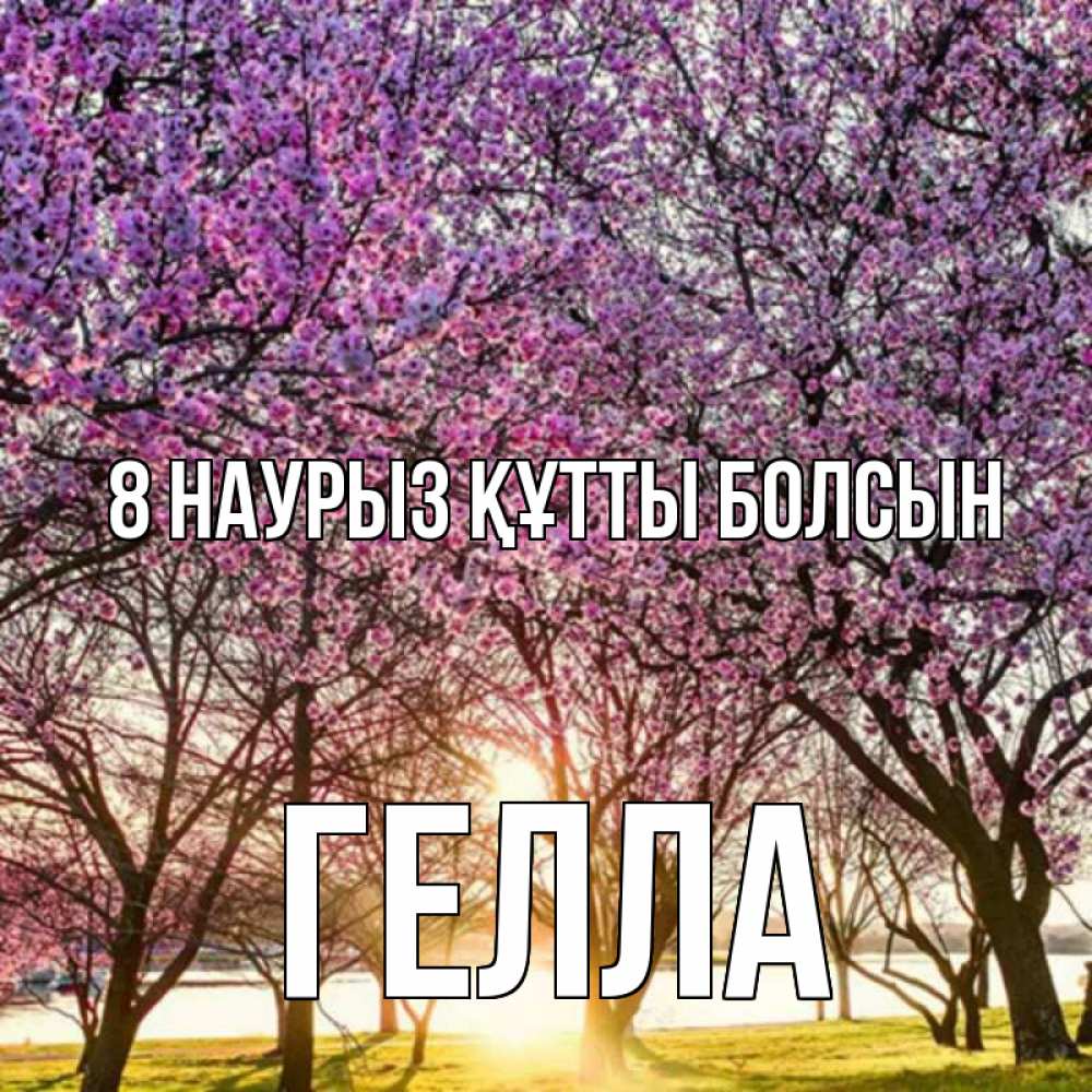 Күн сайын ашық хат с именем, Гелла 8 наурыз құтты болсын международный женский день Онлайн тегін жүктеп алу тілектері бар керемет карта 