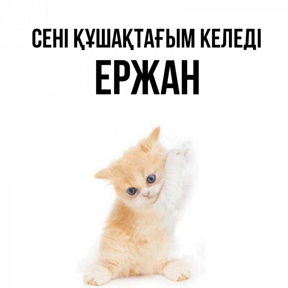 Күн сайын ашық хат с именем, Ержан сені құшақтағым келеді я хочу очень скорее обнимаешек Онлайн тегін жүктеп алу тілектері бар керемет карта 