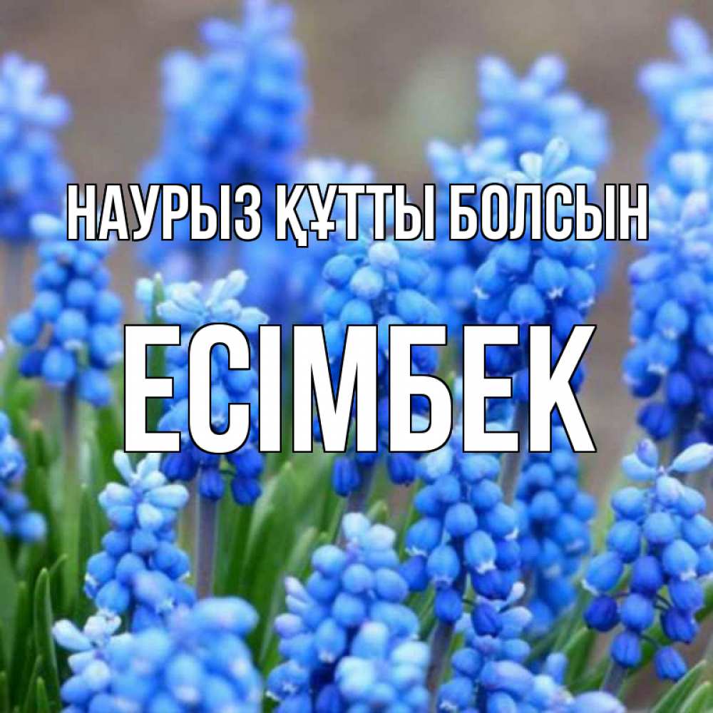 Күн сайын ашық хат с именем, Есімбек Наурыз құтты болсын Поздравительная открытка для женщин с цветами на праздничную дату Онлайн тегін жүктеп алу тілектері бар керемет карта 