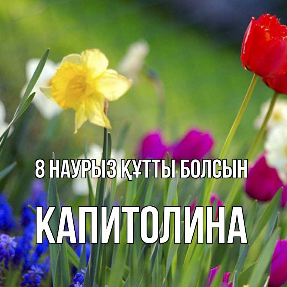 Күн сайын ашық хат с именем, Капитолина 8 наурыз құтты болсын международный женский день 3 Онлайн тегін жүктеп алу тілектері бар керемет карта 