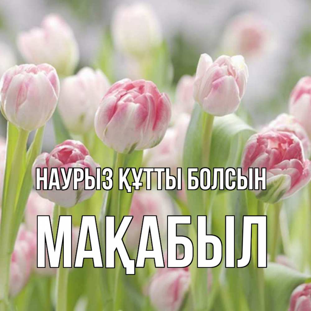 Күн сайын ашық хат с именем, МАҚАБЫЛ Наурыз құтты болсын цветы Онлайн тегін жүктеп алу тілектері бар керемет карта 