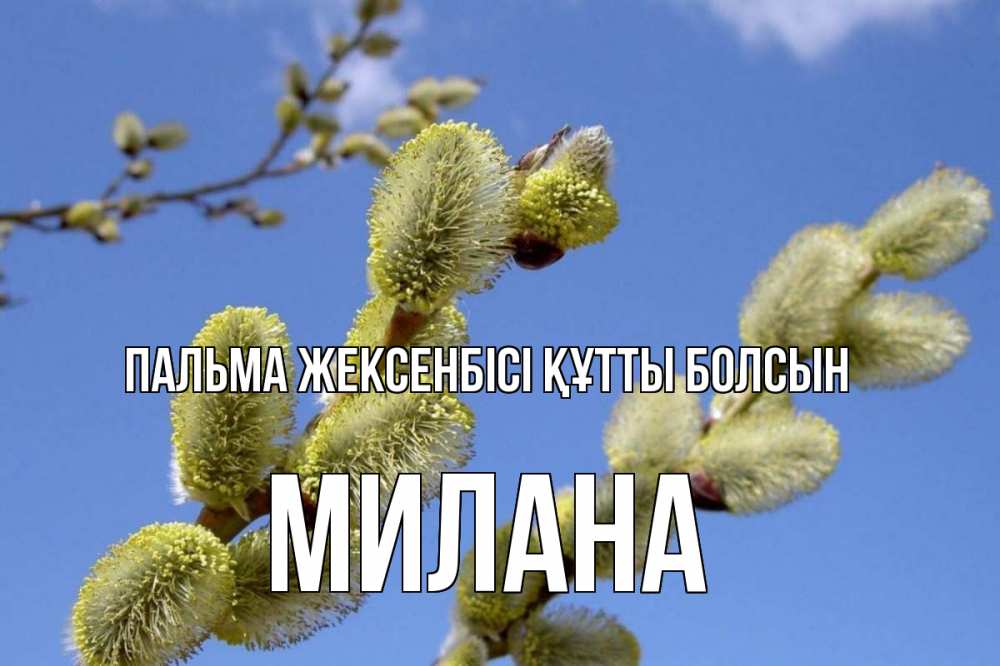 Күн сайын ашық хат с именем, Милана Пальма жексенбісі құтты болсын верба Онлайн тегін жүктеп алу тілектері бар керемет карта 