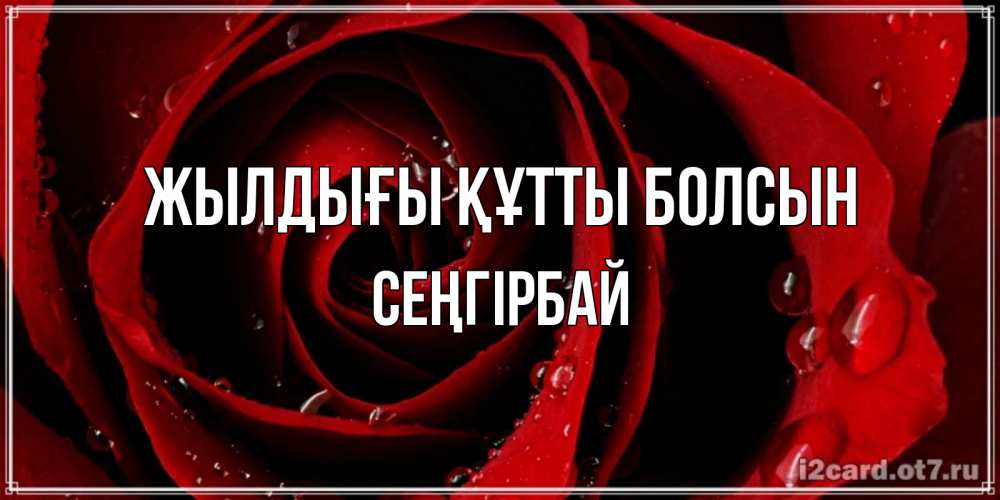 Күн сайын ашық хат с именем, СЕҢГІРБАЙ Жылдығы құтты болсын крупная бордовая роза Онлайн тегін жүктеп алу тілектері бар керемет карта 