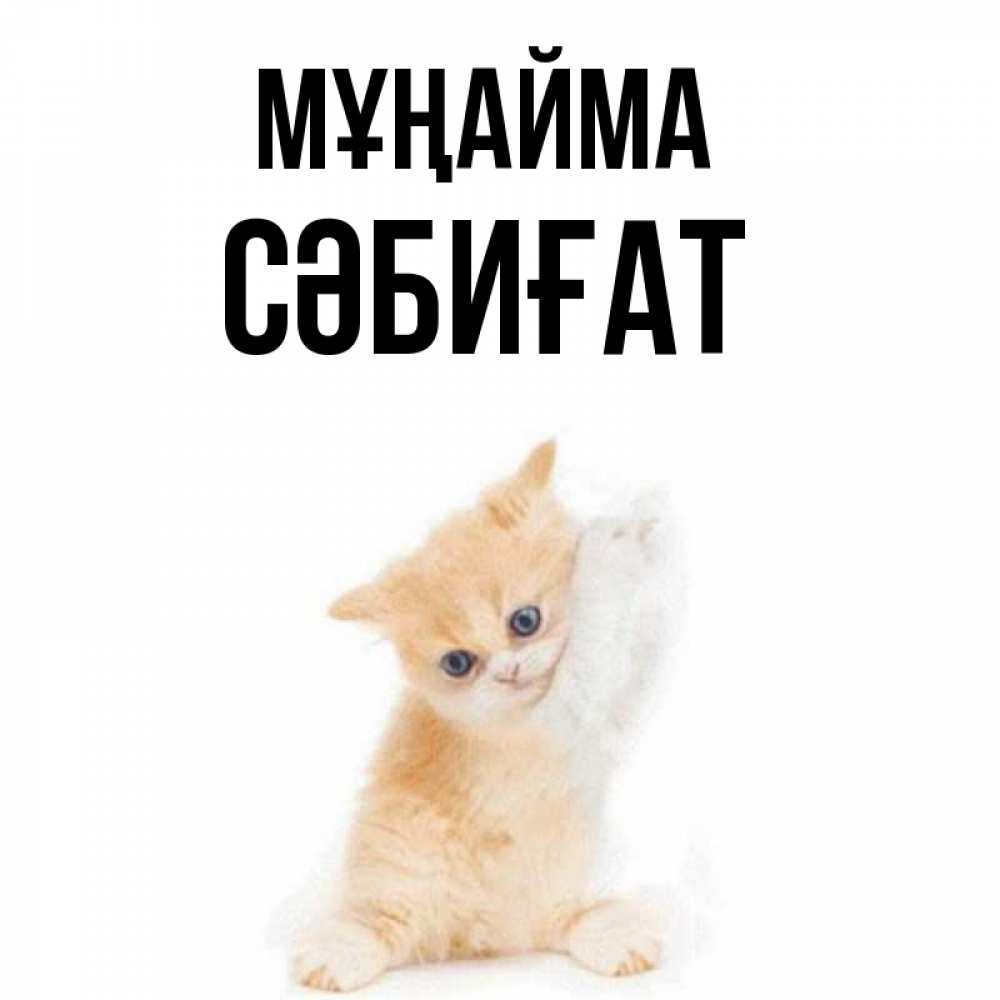 Күн сайын ашық хат с именем, СӘБИҒАТ Мұңайма просящий кот Онлайн тегін жүктеп алу тілектері бар керемет карта 