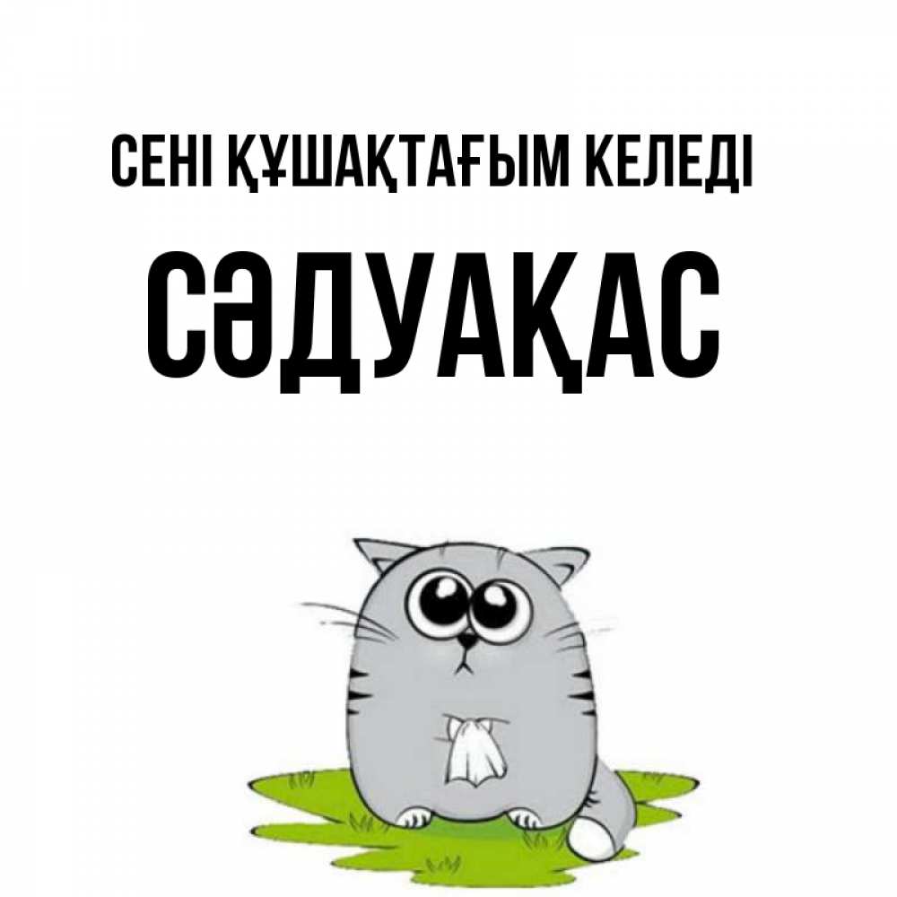 Күн сайын ашық хат с именем, СӘДУАҚАС сені құшақтағым келеді котик теребит платочек сидя на травке Онлайн тегін жүктеп алу тілектері бар керемет карта 