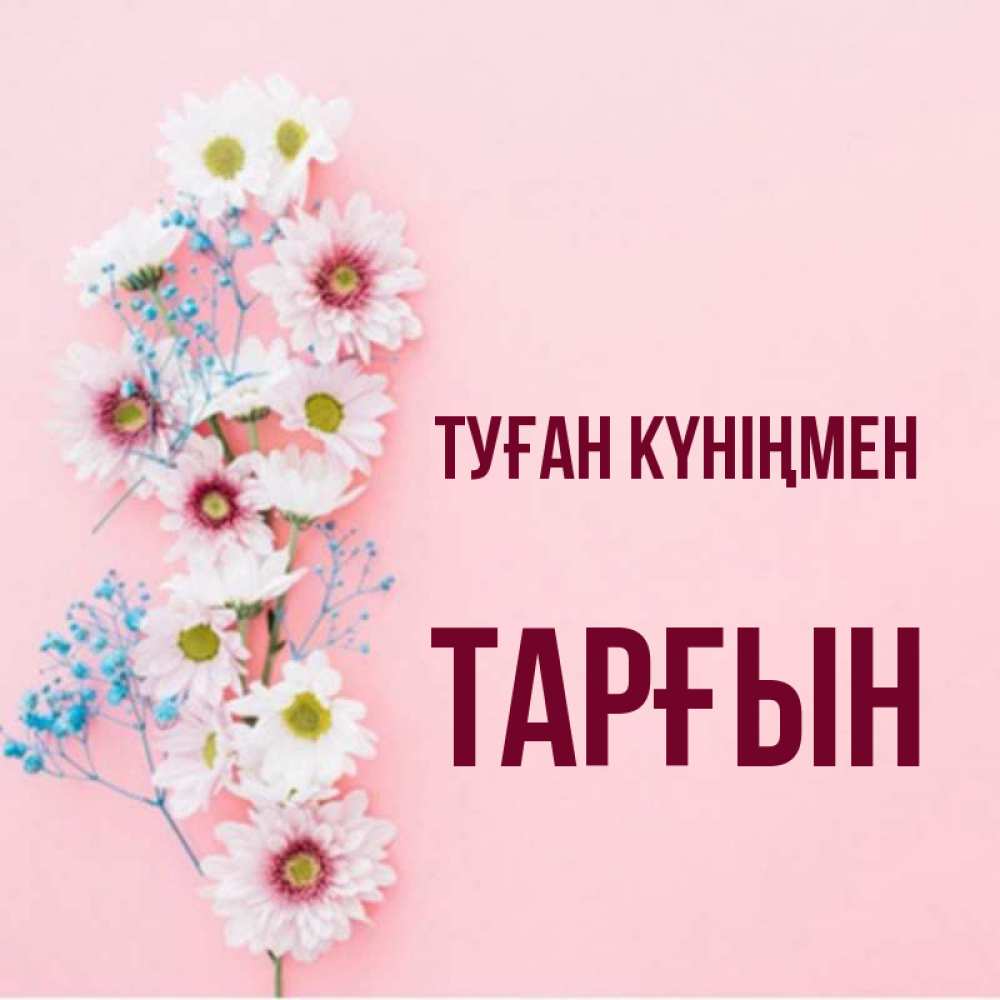 Күн сайын ашық хат с именем, ТАРҒЫН Туған күніңмен Родная моя с днем рождения тебя картинка с цветами белыми и голубыми Онлайн тегін жүктеп алу тілектері бар керемет карта 