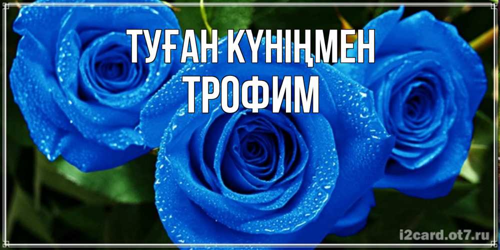Күн сайын ашық хат с именем, Трофим Туған күніңмен розы с синим цветом Онлайн тегін жүктеп алу тілектері бар керемет карта 