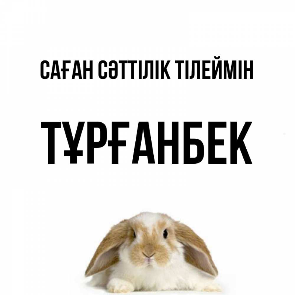 Күн сайын ашық хат с именем, ТҰРҒАНБЕК Саған сәттілік тілеймін открытки с произвольным текстом который можно вставить в открытку и создать ее самостоятельно бесплатно онлайн Онлайн тегін жүктеп алу тілектері бар керемет карта 