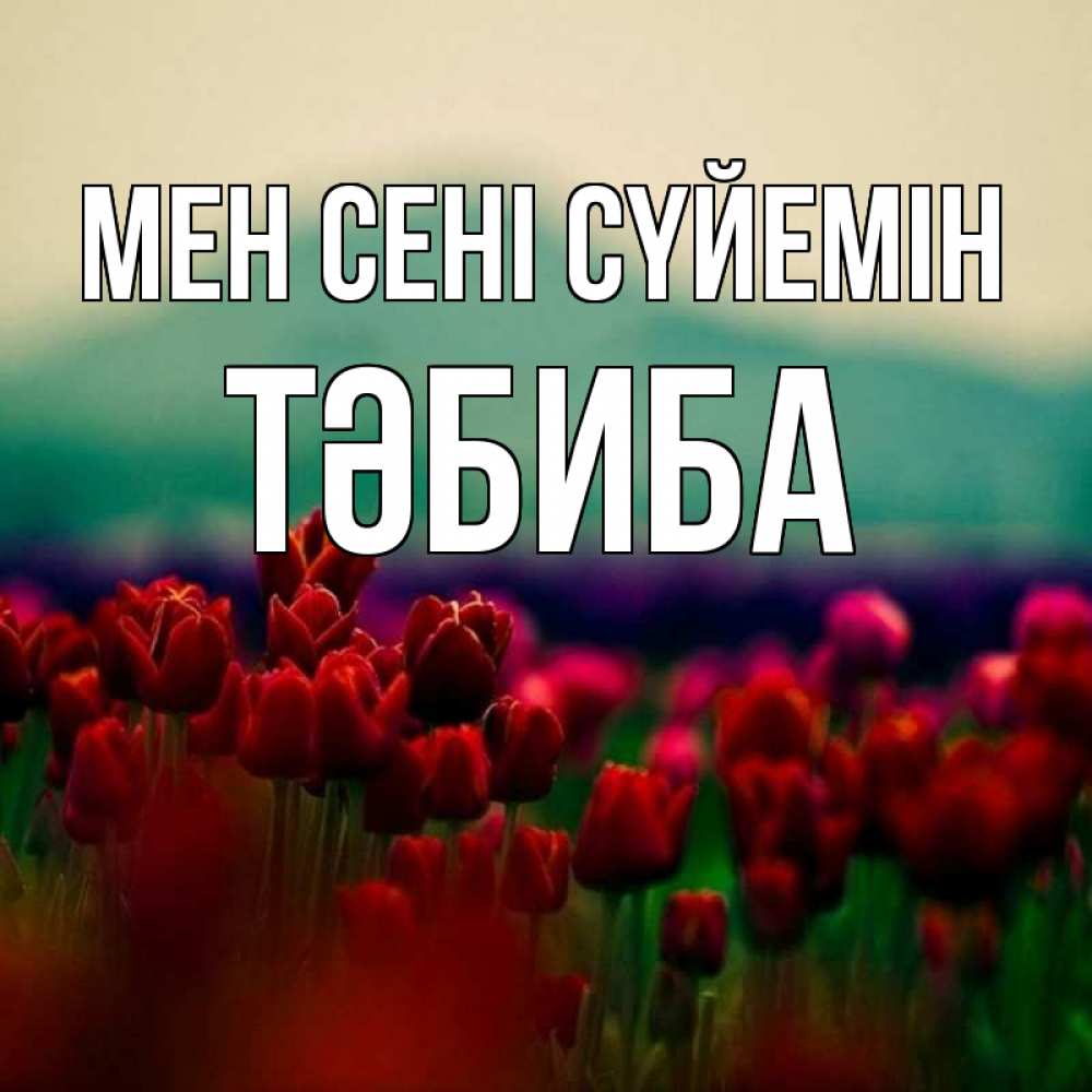 Күн сайын ашық хат с именем, ТӘБИБА Мен сені сүйемін тюльпаны 4 Онлайн тегін жүктеп алу тілектері бар керемет карта 
