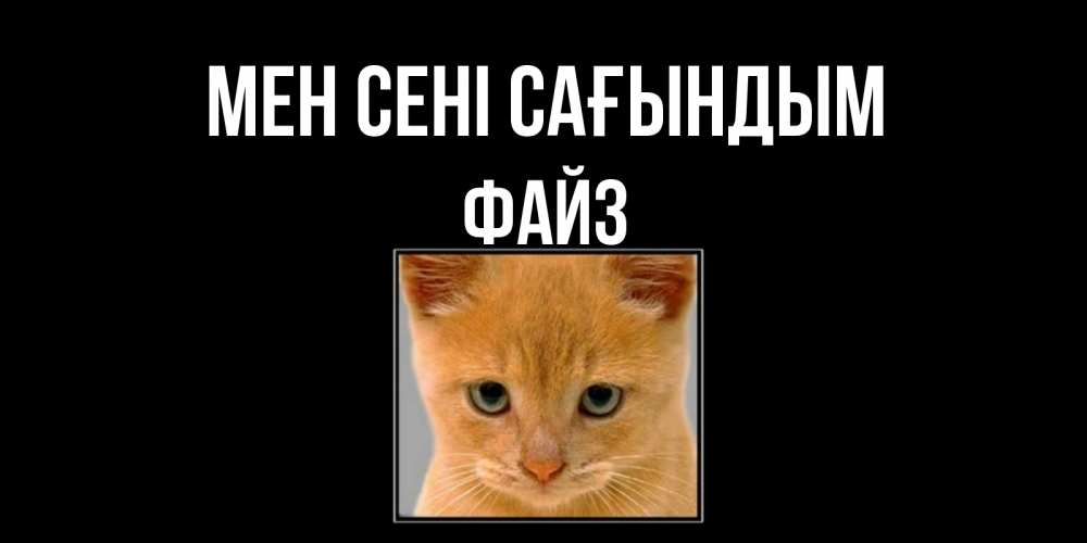 Күн сайын ашық хат с именем, ФАЙЗ Мен сені сағындым открытки рыжий котенок скучает по тебе Онлайн тегін жүктеп алу тілектері бар керемет карта 