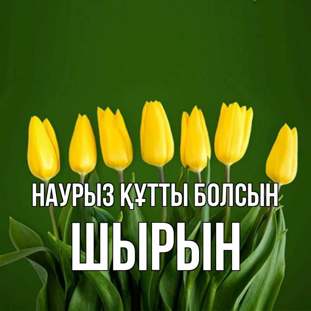 Күн сайын ашық хат с именем, ШЫРЫН Наурыз құтты болсын желтого цвета 3 Онлайн тегін жүктеп алу тілектері бар керемет карта 
