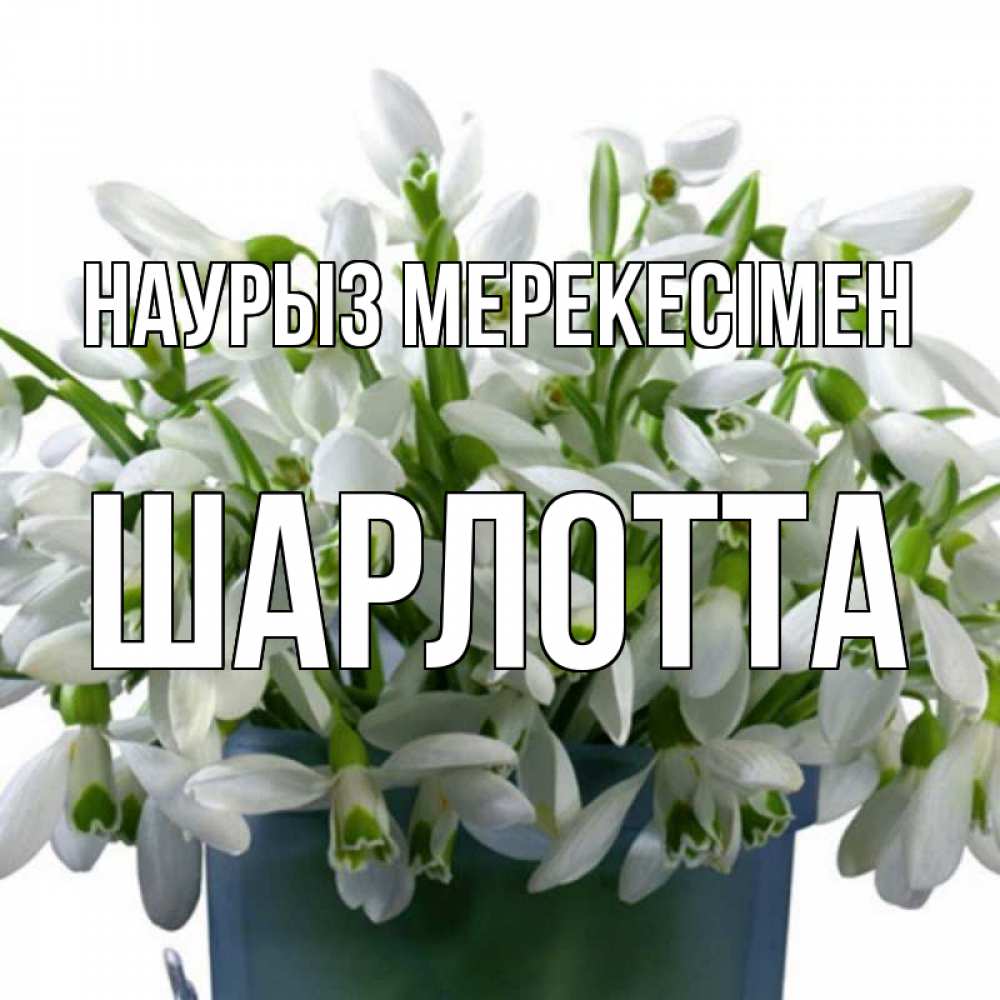 Күн сайын ашық хат с именем, Шарлотта Наурыз мерекесімен цветы к наурызу новый год в Казахстане Онлайн тегін жүктеп алу тілектері бар керемет карта 