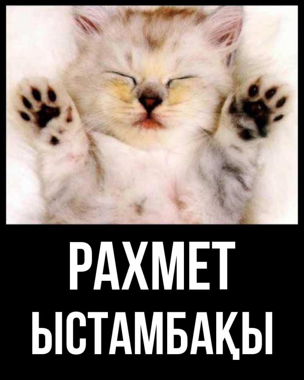 Күн сайын ашық хат с именем, ЫСТАМБАҚЫ рахмет маленький котенок Онлайн тегін жүктеп алу тілектері бар керемет карта 