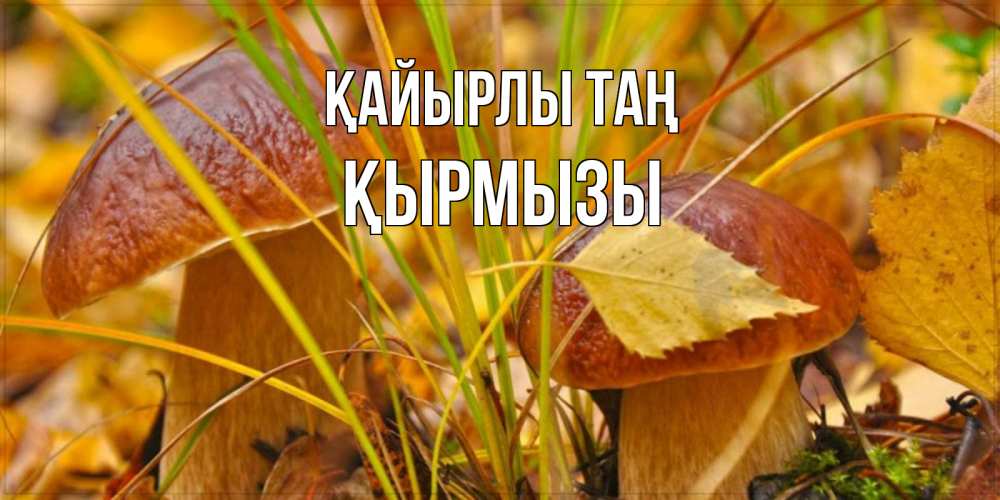 Күн сайын ашық хат с именем, ҚЫРМЫЗЫ Қайырлы таң осенние грибы Онлайн тегін жүктеп алу тілектері бар керемет карта 