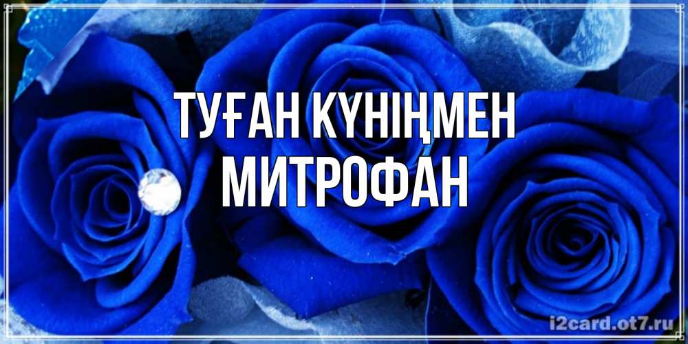 Күн сайын ашық хат с именем, Митрофан Туған күніңмен синие розы в росе Онлайн тегін жүктеп алу тілектері бар керемет карта 