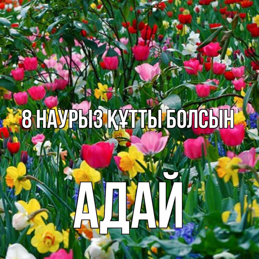 Күн сайын ашық хат с именем, Адай 8 наурыз құтты болсын с международным женским днем поздравления для женщины Онлайн тегін жүктеп алу тілектері бар керемет карта 
