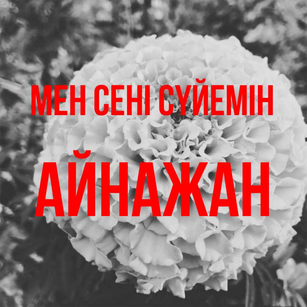 Күн сайын ашық хат с именем, Айнажан Мен сені сүйемін подпись Онлайн тегін жүктеп алу тілектері бар керемет карта 