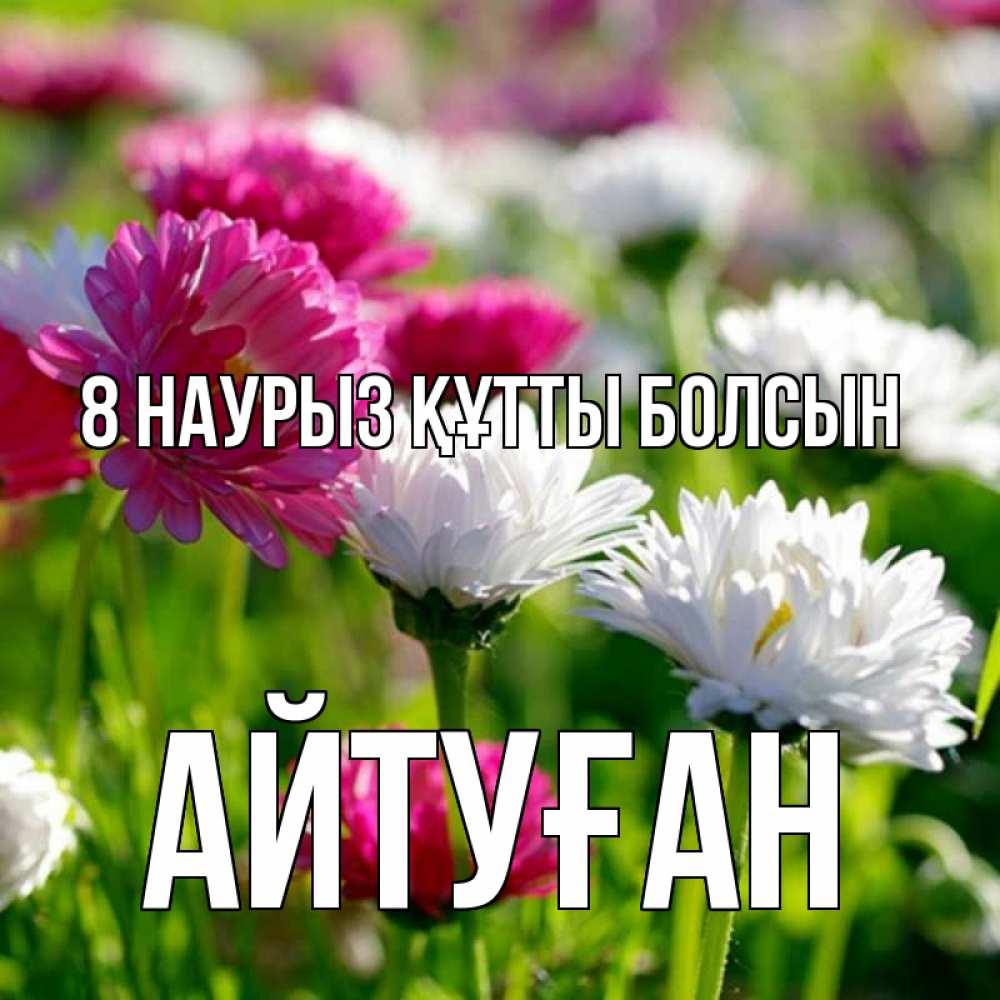 Күн сайын ашық хат с именем, Айтуған 8 наурыз құтты болсын международный женский день 1 Онлайн тегін жүктеп алу тілектері бар керемет карта 