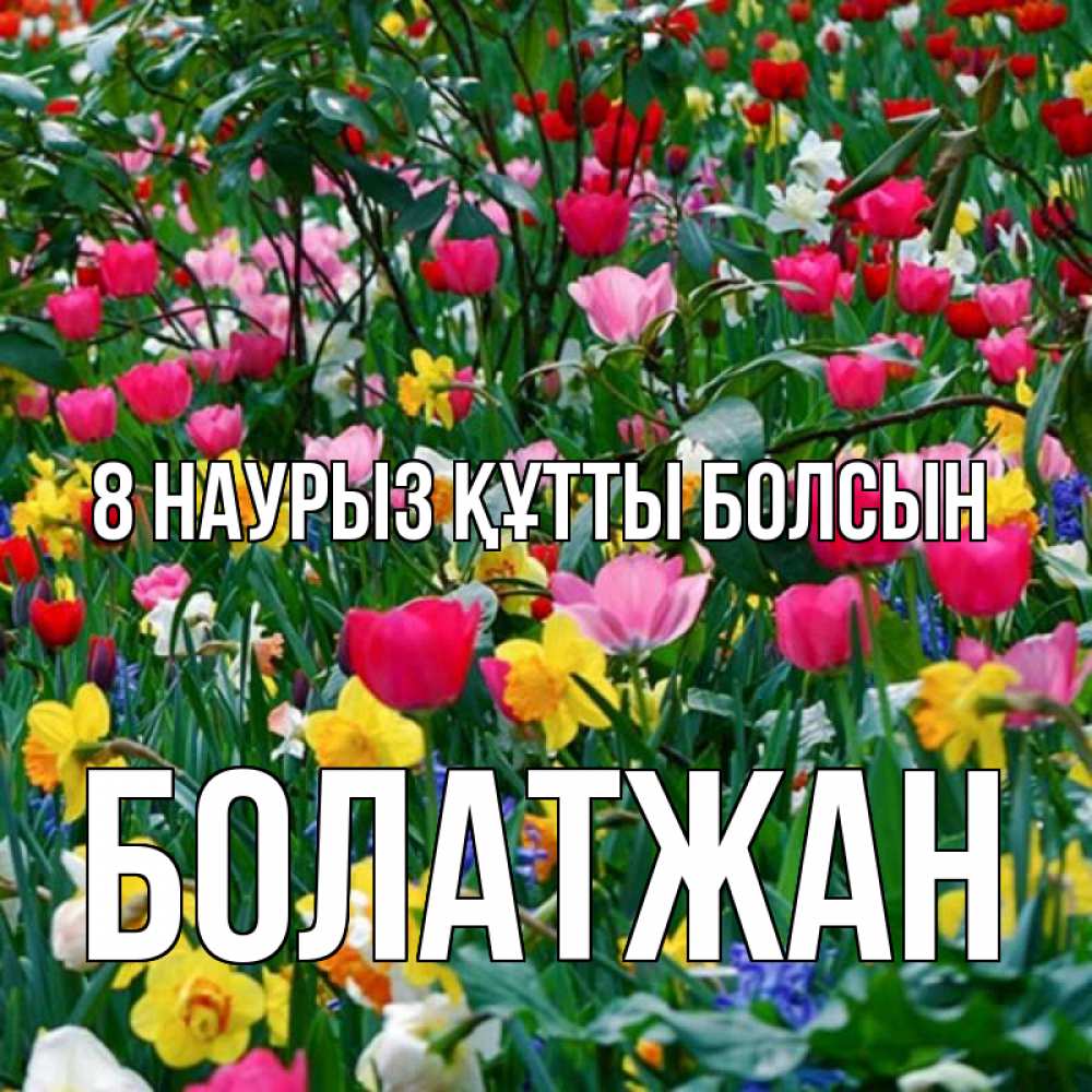 Күн сайын ашық хат с именем, Болатжан 8 наурыз құтты болсын с международным женским днем поздравления для женщины Онлайн тегін жүктеп алу тілектері бар керемет карта 