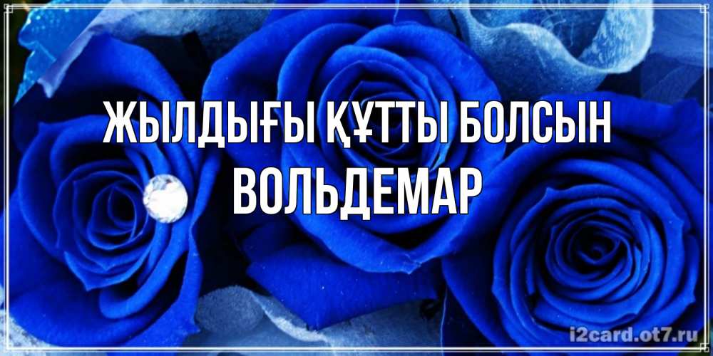 Күн сайын ашық хат с именем, Вольдемар Жылдығы құтты болсын синие розы в росе Онлайн тегін жүктеп алу тілектері бар керемет карта 