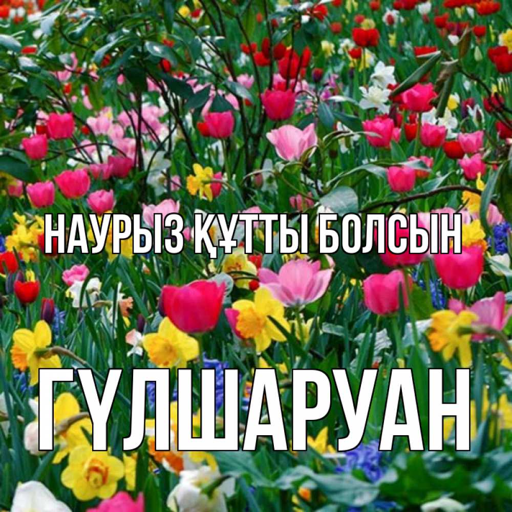 Күн сайын ашық хат с именем, ГҮЛШАРУАН Наурыз құтты болсын с наурызом поздравления для женщины Онлайн тегін жүктеп алу тілектері бар керемет карта 