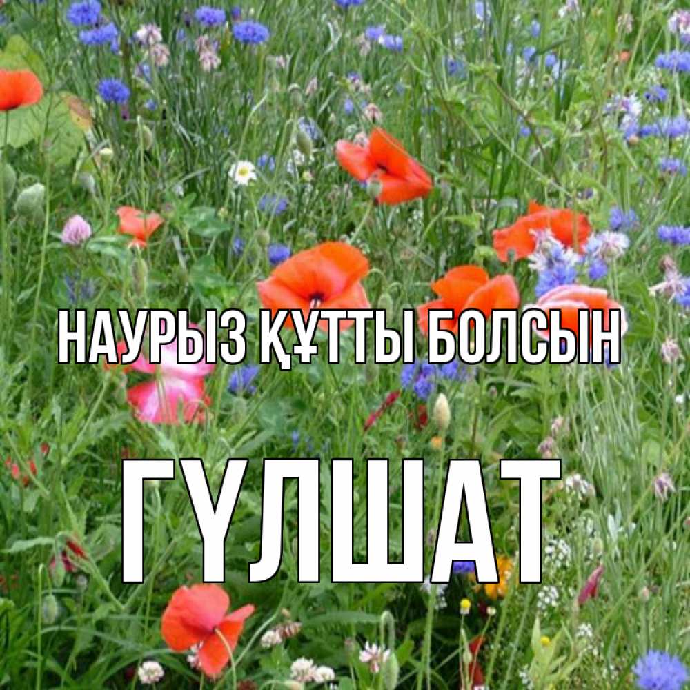Күн сайын ашық хат с именем, ГҮЛШАТ Наурыз құтты болсын наурыз  4 Онлайн тегін жүктеп алу тілектері бар керемет карта 