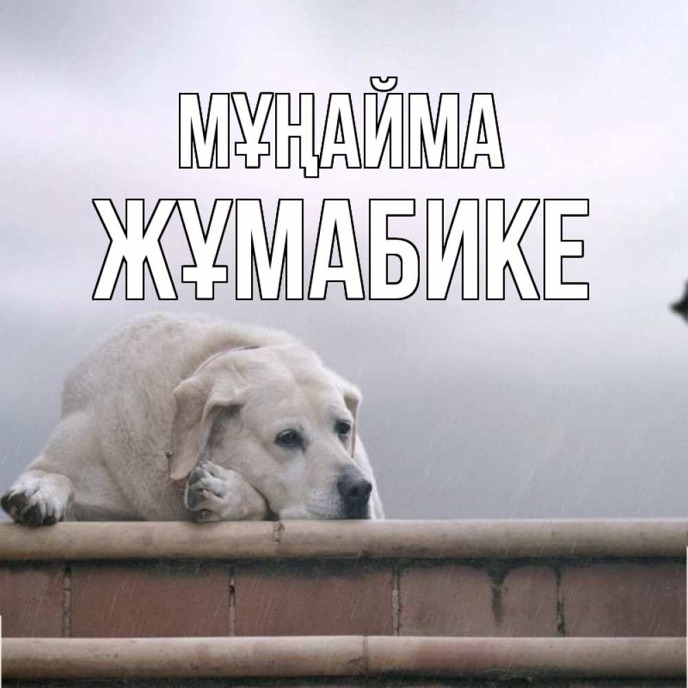 Күн сайын ашық хат с именем, ЖҰМАБИКЕ Мұңайма белый пес 1 Онлайн тегін жүктеп алу тілектері бар керемет карта 
