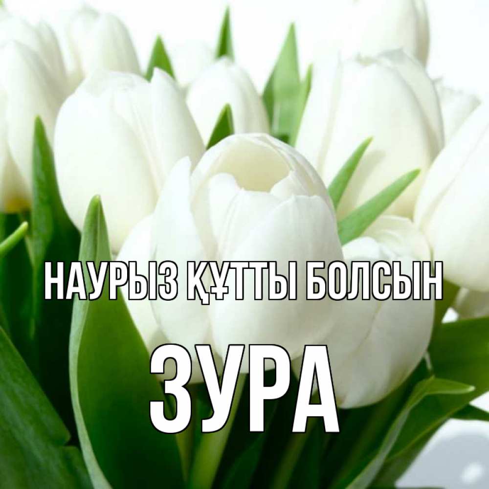 Күн сайын ашық хат с именем, ЗУРА Наурыз құтты болсын цветы Онлайн тегін жүктеп алу тілектері бар керемет карта 