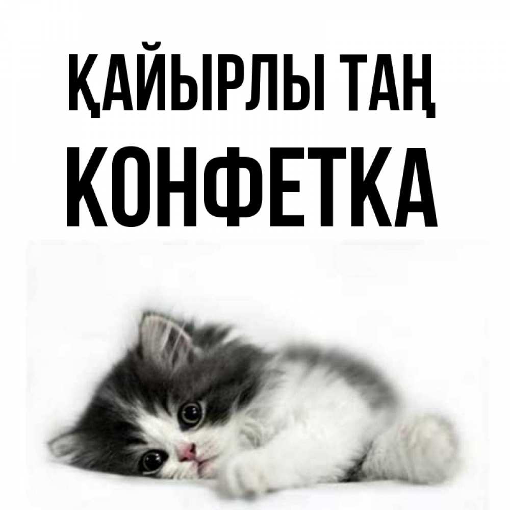 Күн сайын ашық хат с именем, Конфетка Қайырлы таң кот лапки Онлайн тегін жүктеп алу тілектері бар керемет карта 