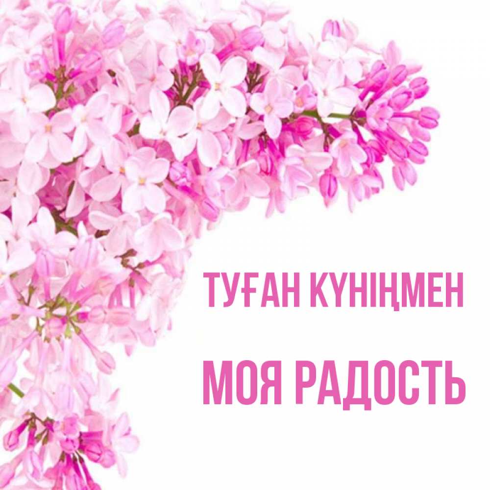 Күн сайын ашық хат с именем, Моя-радость Туған күніңмен Сирень на белом фоне Онлайн тегін жүктеп алу тілектері бар керемет карта 