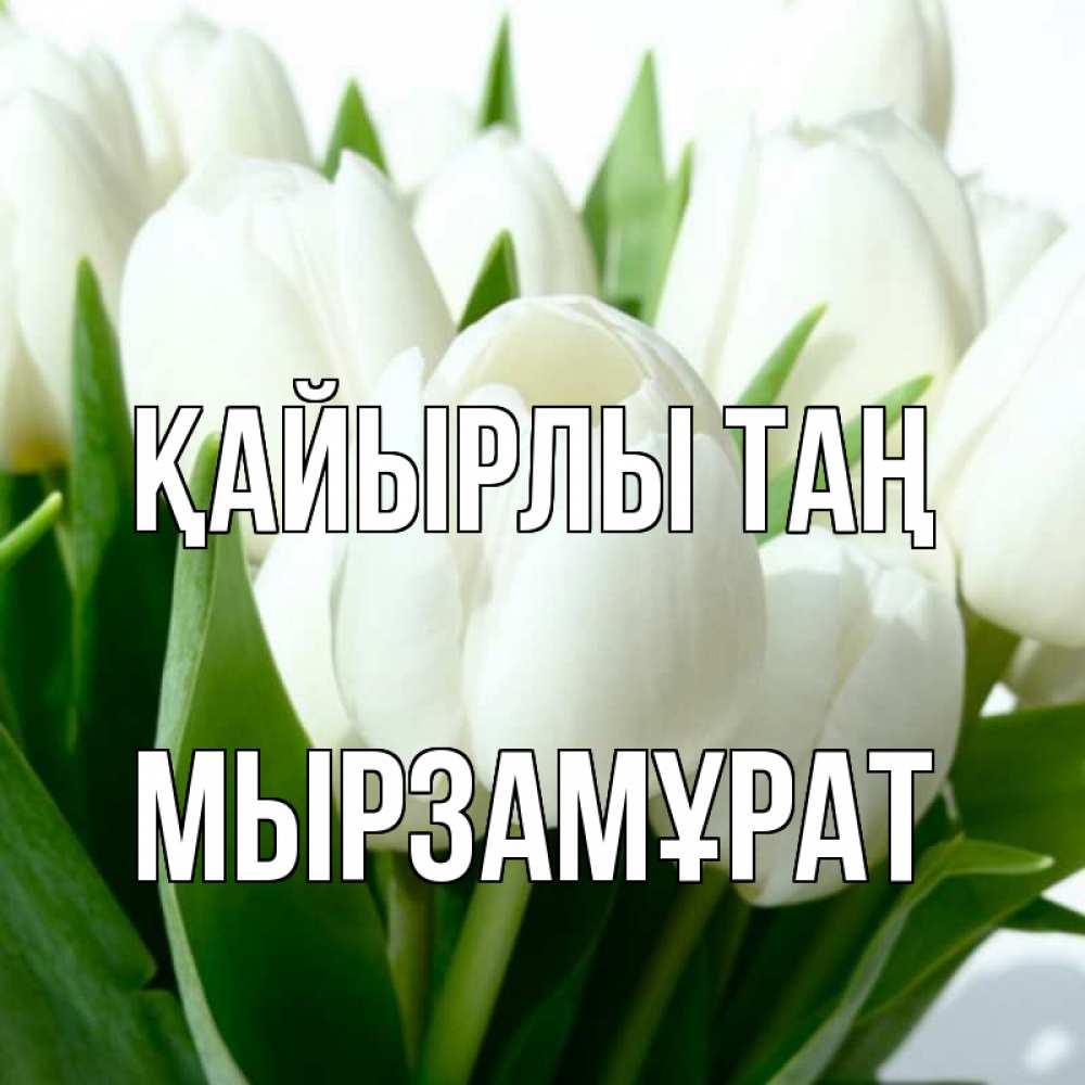 Күн сайын ашық хат с именем, Мырзамұрат Қайырлы таң открытки на каждый день по именам Онлайн тегін жүктеп алу тілектері бар керемет карта 