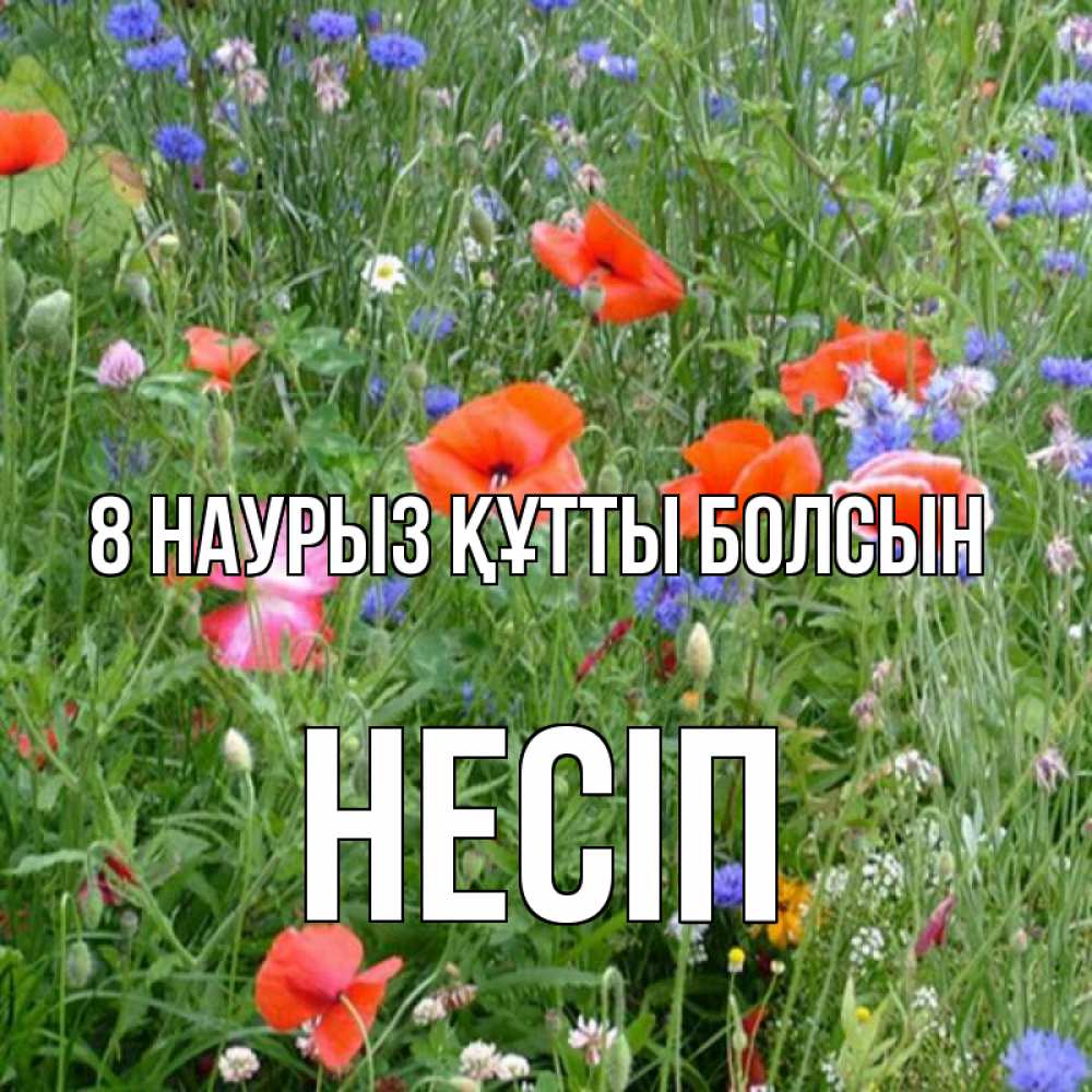 Күн сайын ашық хат с именем, НЕСІП 8 наурыз құтты болсын международный женский день 4 Онлайн тегін жүктеп алу тілектері бар керемет карта 