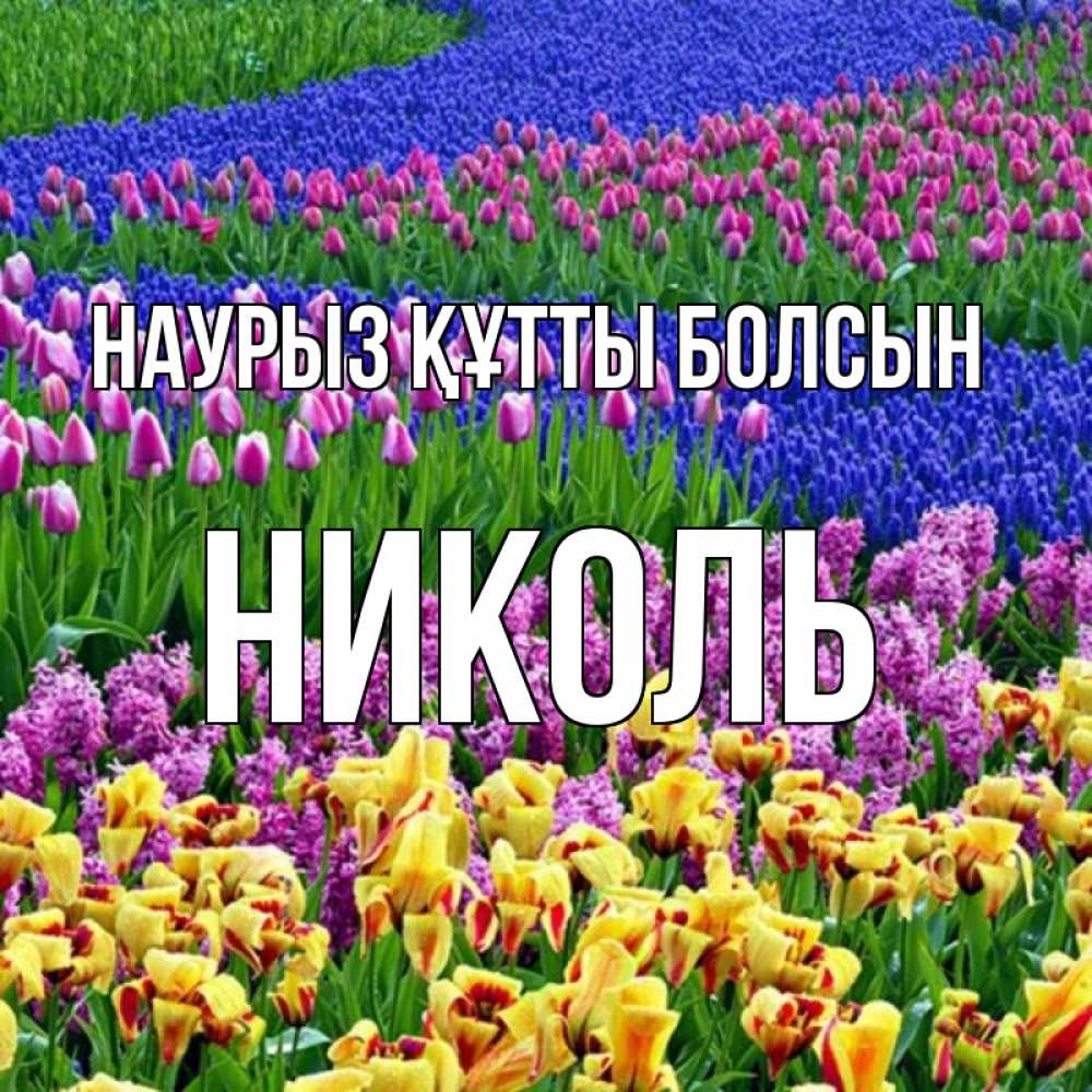 Күн сайын ашық хат с именем, Николь Наурыз құтты болсын цветы Онлайн тегін жүктеп алу тілектері бар керемет карта 