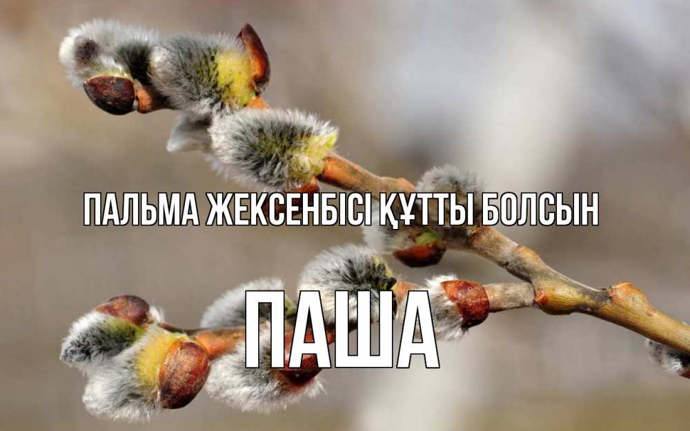 Күн сайын ашық хат с именем, Паша Пальма жексенбісі құтты болсын Верба Онлайн тегін жүктеп алу тілектері бар керемет карта 