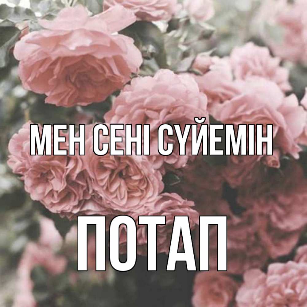 Күн сайын ашық хат с именем, Потап Мен сені сүйемін розы 3 Онлайн тегін жүктеп алу тілектері бар керемет карта 