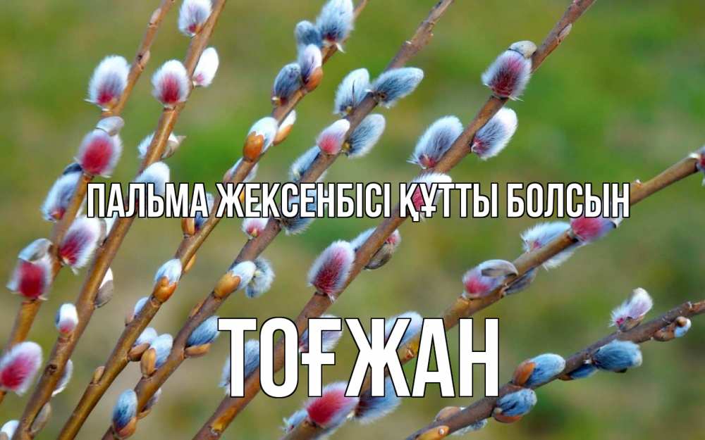 Күн сайын ашық хат с именем, ТОҒЖАН Пальма жексенбісі құтты болсын верба Онлайн тегін жүктеп алу тілектері бар керемет карта 