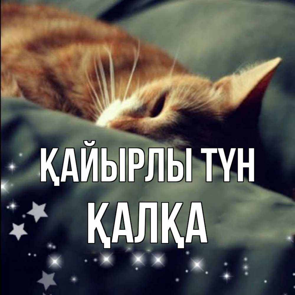 Күн сайын ашық хат с именем, Қалқа Қайырлы түн кроватка Онлайн тегін жүктеп алу тілектері бар керемет карта 
