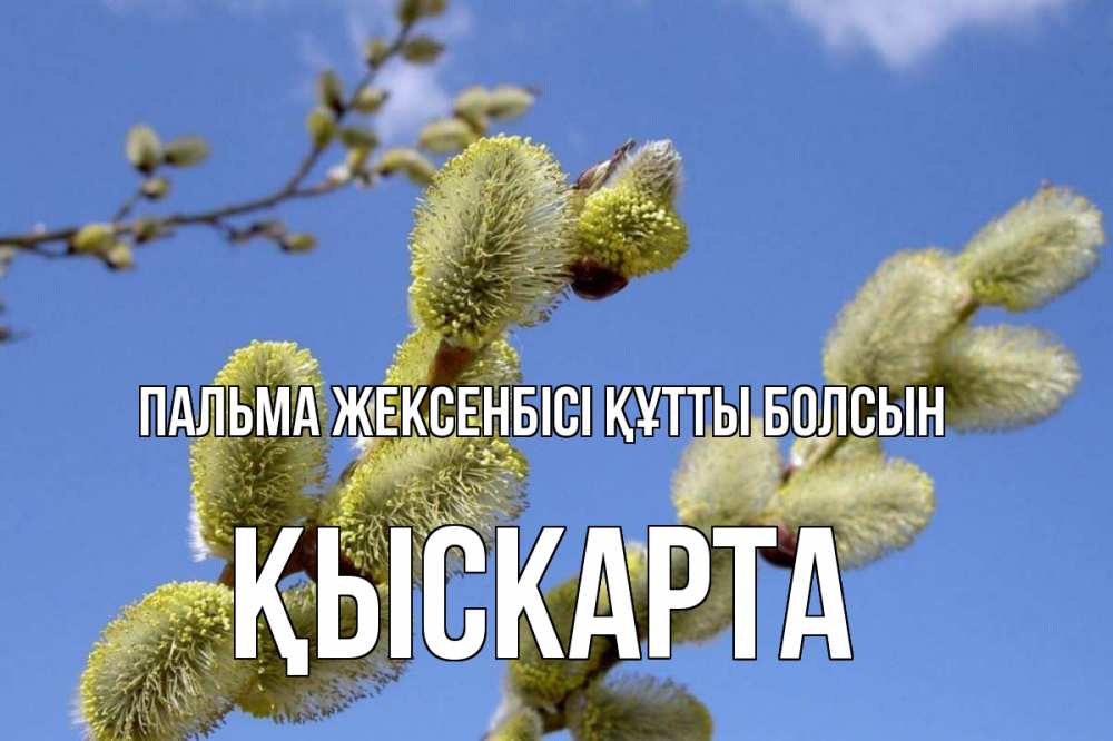 Күн сайын ашық хат с именем, Қыскарта Пальма жексенбісі құтты болсын верба Онлайн тегін жүктеп алу тілектері бар керемет карта 