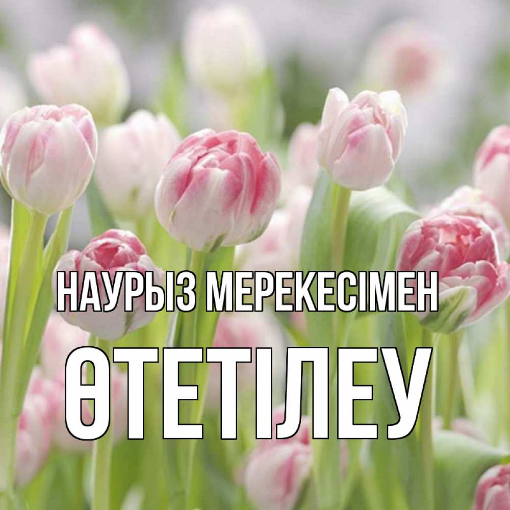 Күн сайын ашық хат с именем, ӨТЕТІЛЕУ Наурыз мерекесімен цветы Онлайн тегін жүктеп алу тілектері бар керемет карта 