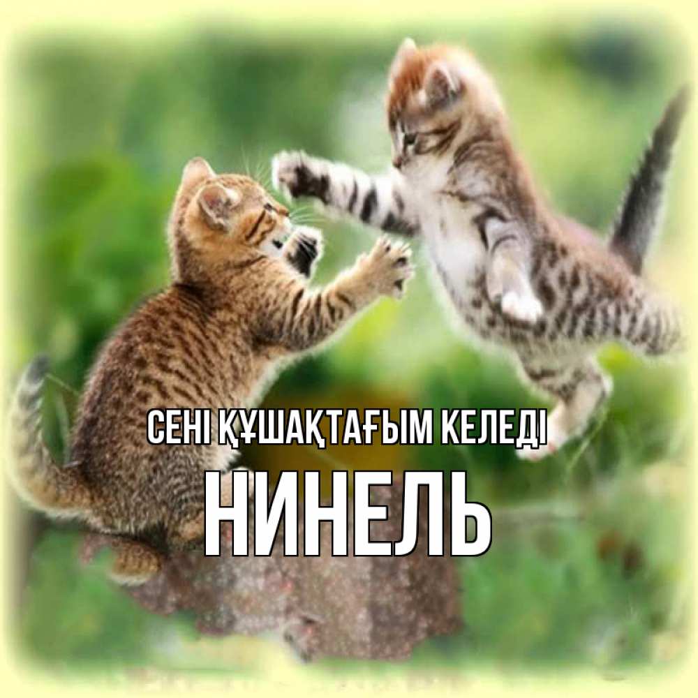 Күн сайын ашық хат с именем, Нинель сені құшақтағым келеді игры котят Онлайн тегін жүктеп алу тілектері бар керемет карта 