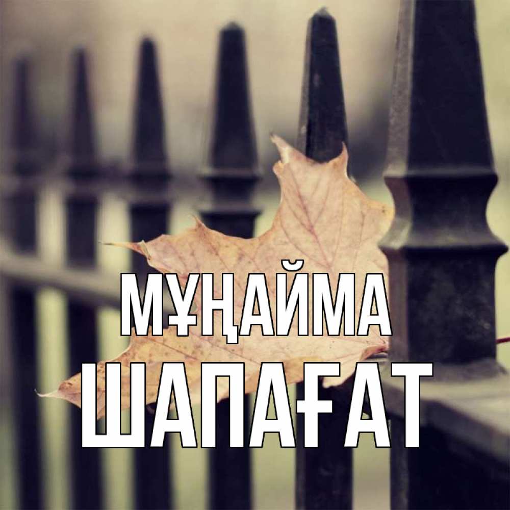 Күн сайын ашық хат с именем, ШАПАҒАТ Мұңайма лист клена Онлайн тегін жүктеп алу тілектері бар керемет карта 